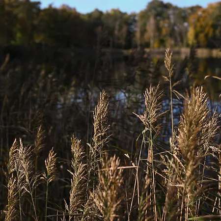 Tiny House Pioneer 3 - Tiny Spot Friesland Шортенс