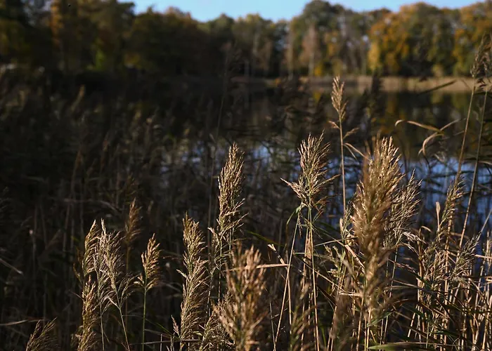 Tiny House Pioneer 3 - Tiny Spot Friesland Schortens