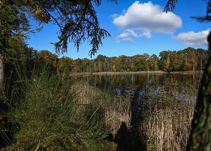 Сasa de vacaciones Tiny House Pioneer 3 - Tiny Spot Friesland *